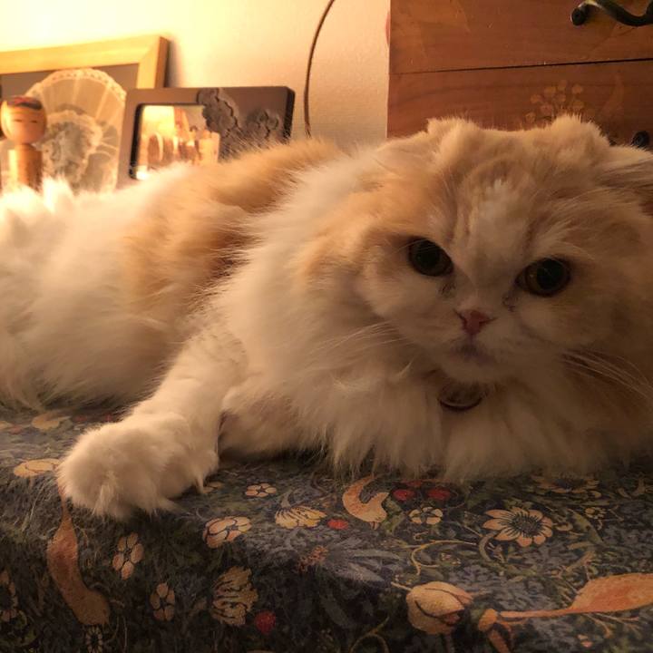 Ffaa004f 46a4 4d61 80cd 11871c26335c 1616759840970