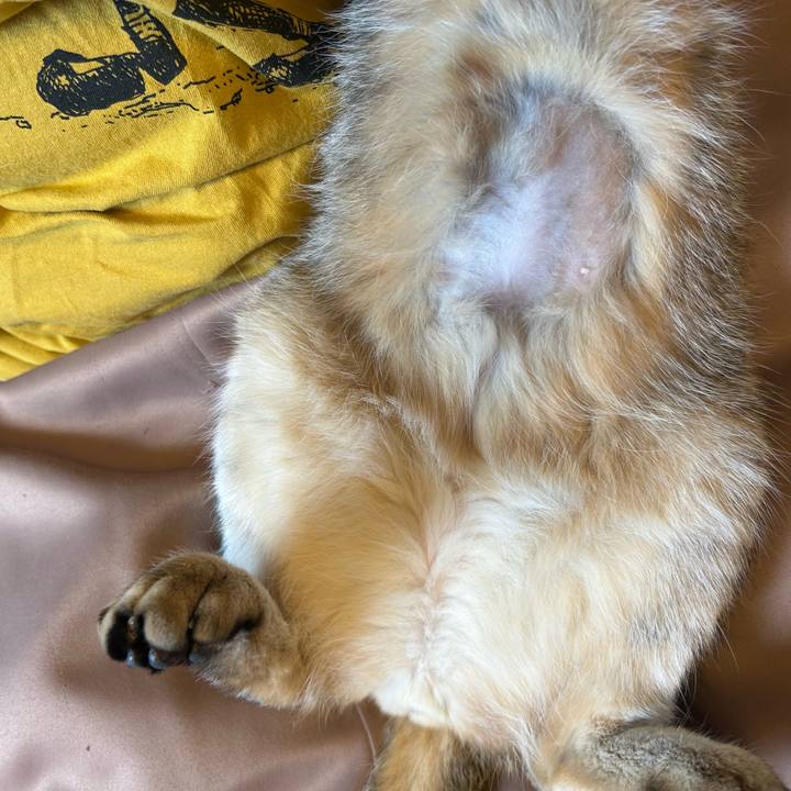 Ffaa2151 1f09 4c4d bed1 01e9e6e47d09 1743298454152