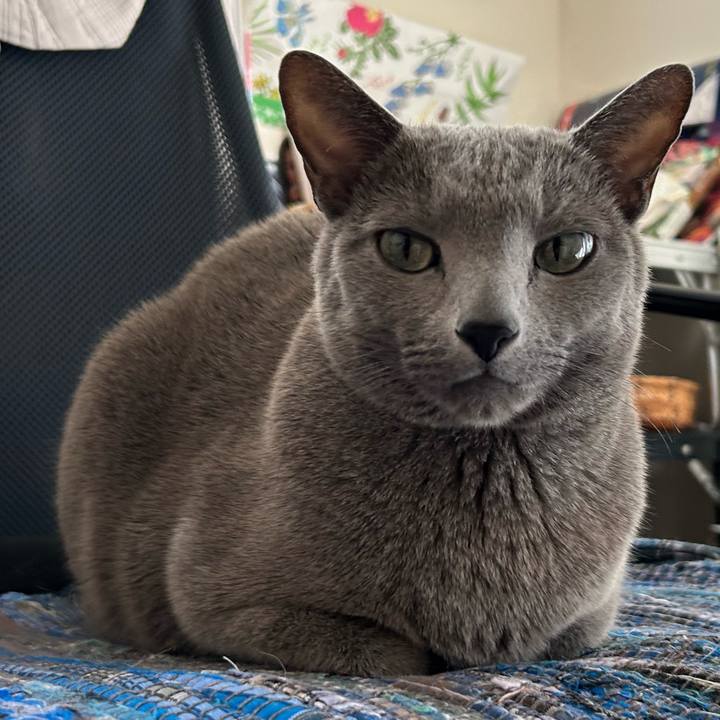 Ffaa4904 c74d 43e5 a526 2ea4413cc4b7 1738374067950