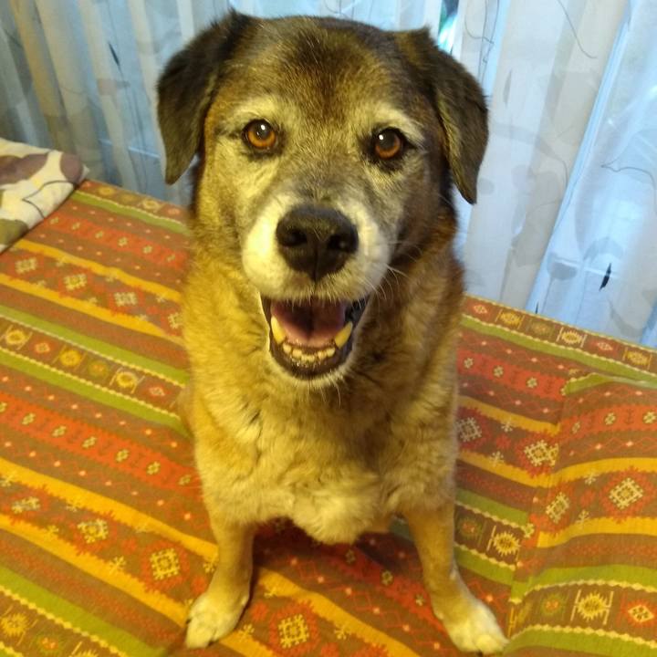 Ffaa5023 fcb8 4243 9024 108aaaec04c0 1561456363865