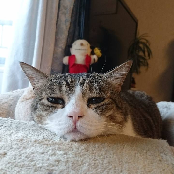 Ffaa61f7 1396 41e0 abc6 7f094985eb84 1524523774248