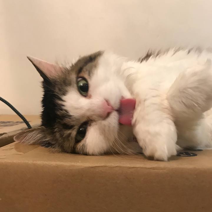 Ffaa71f6 c433 428a 82b4 9e80db17c92a 1524492050136