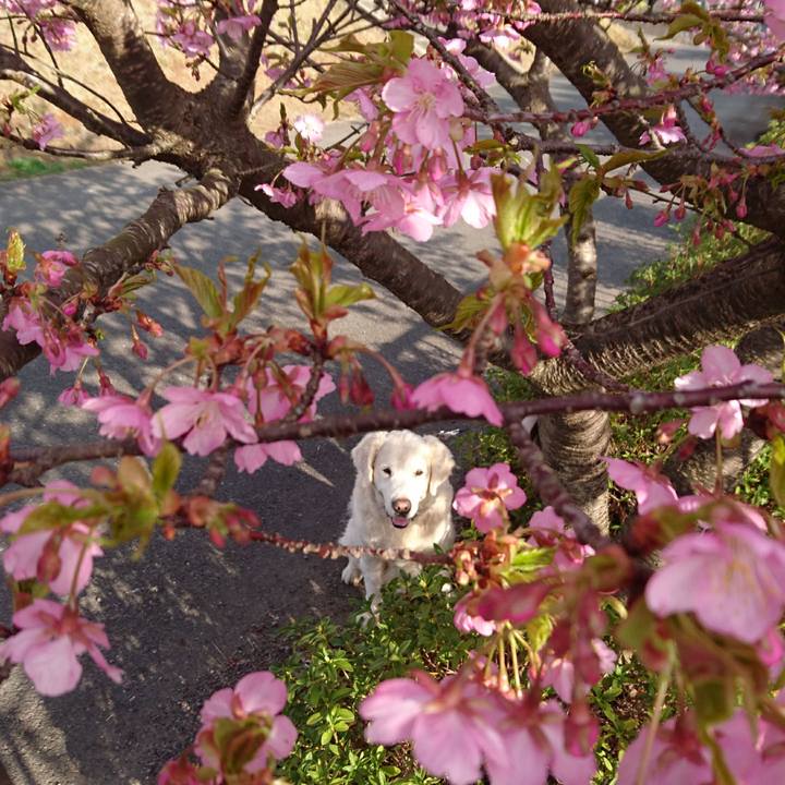 Ffaa748a 950c 4cfd be55 c41d646be2b0 1520797140379