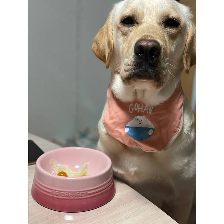 Ffaa8af6 f8e9 4c8a a912 c6f6e3e5819d 1652618212457