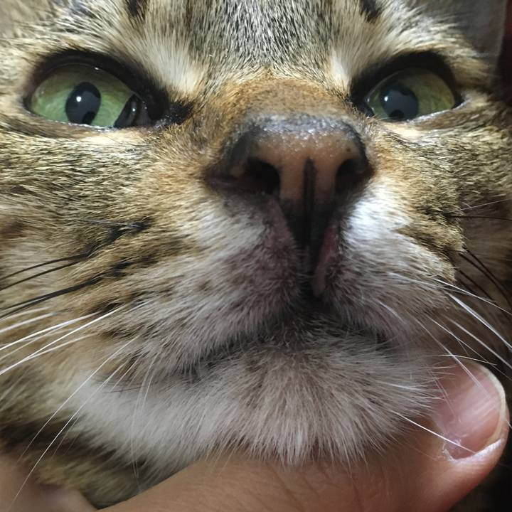 Ffaac079 21b9 4863 8094 646887a76c0c 1581082759737