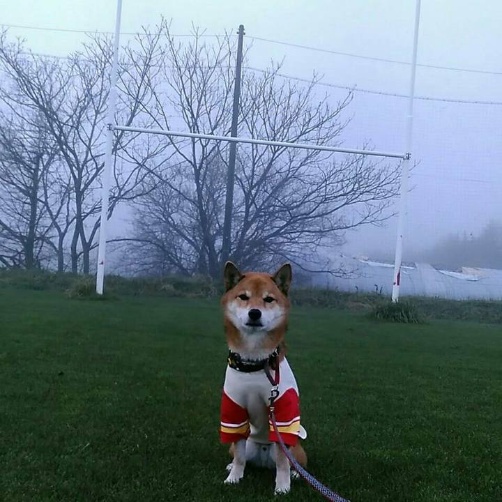 Ffab2f4c b827 455e 98dd f03dee05791c 1574548933777