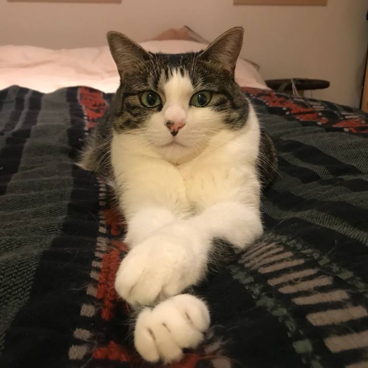 Ffab3a3b 581f 4896 9d3c 985f784021b0 1545833462018