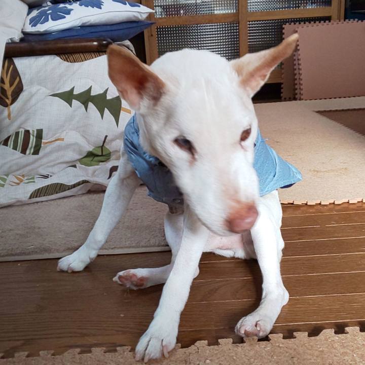 Ffabc314 a34e 4040 bc7e 6f784898ea8c 1555973666551