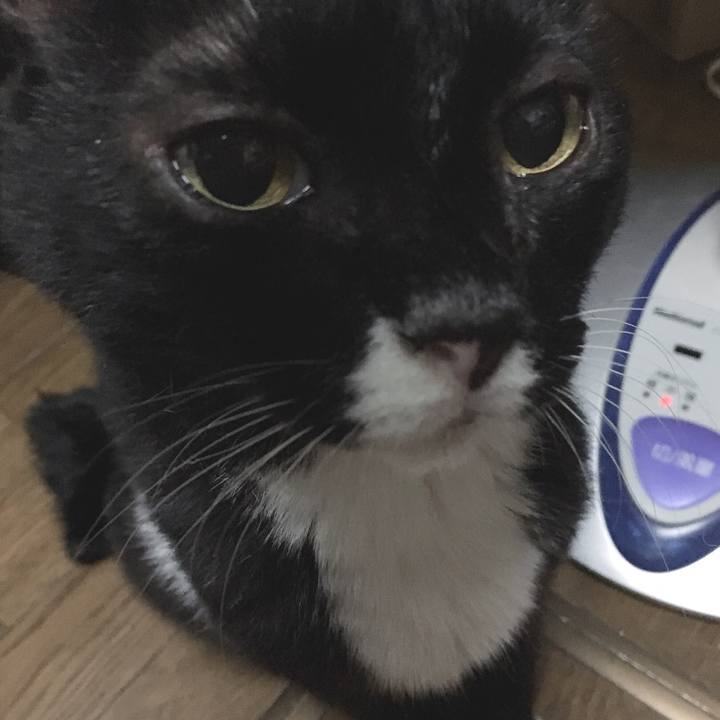 Ffabc51d 98ec 4ae1 882e 71b99e1f4cf1 1566646591153