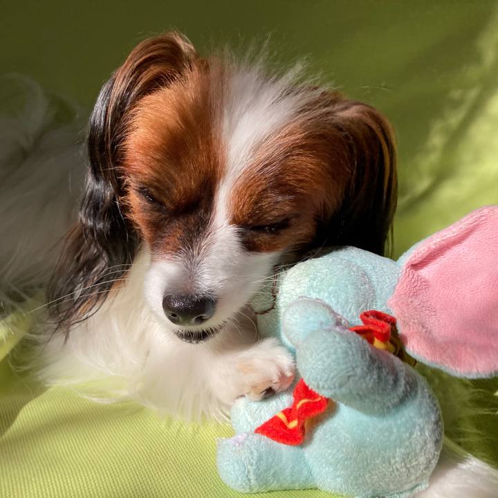 Ffabc941 0f6f 4598 a3d0 e34e2d3a8ba9 1633497816943