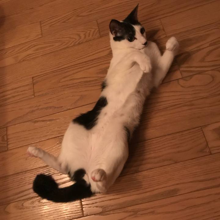 Ffabfe17 4381 4aed a934 9b4b964e9c31 1523416274971