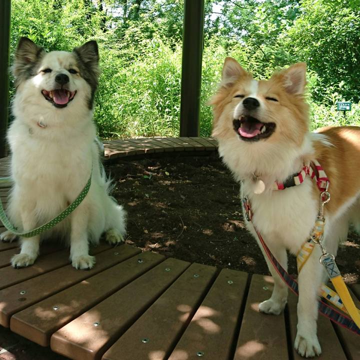 Ffac060c 9421 48f1 8a6e 10a3d08f3ade 1568296569370