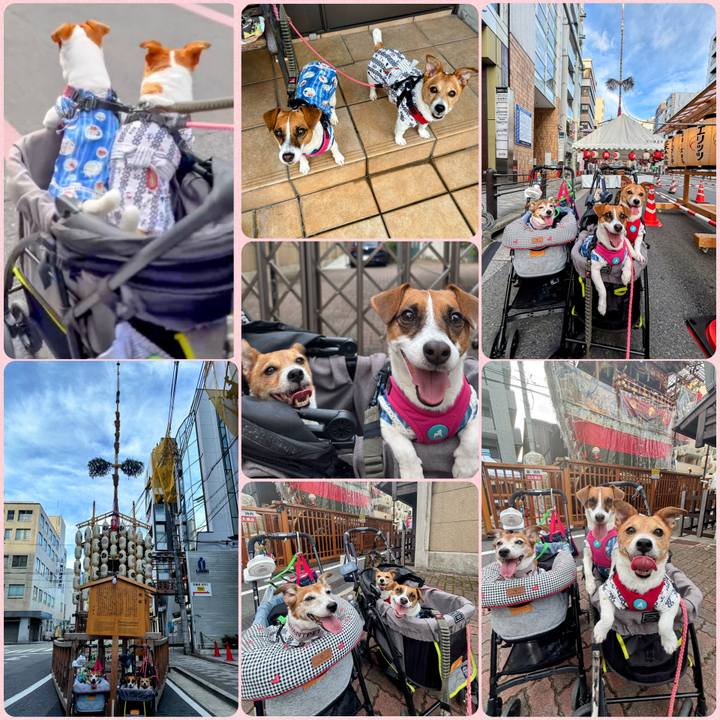 Ffac09cf 16ee 45c3 8ce6 f7f4329b5d3d 1752467984638