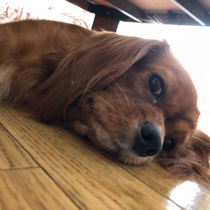 Ffac2f45 c529 4049 b8e7 9bc38f7bea7c 1534224427626