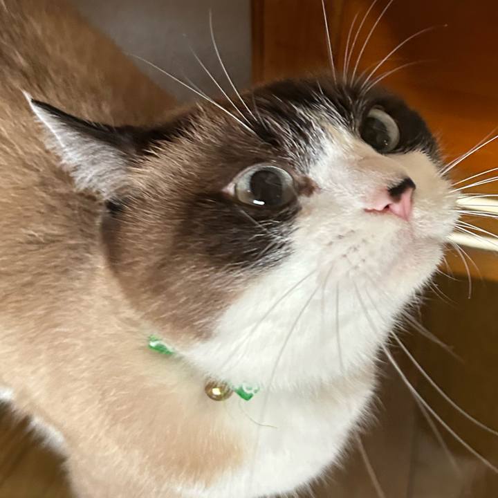 Ffac3433 fc90 46af bffa 5d8573301d90 1760736539684