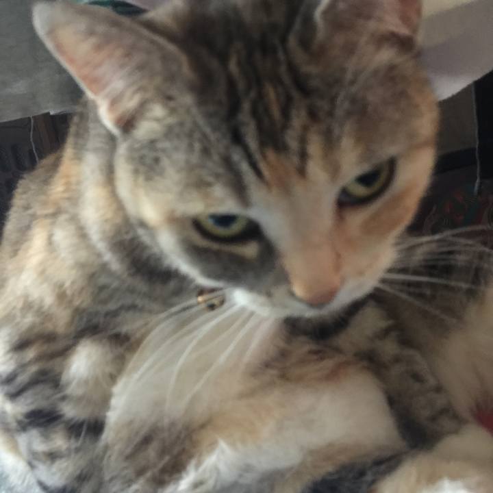 Ffac4a11 fcc4 4cd5 8bb0 519a27aeea6e 1560389202818