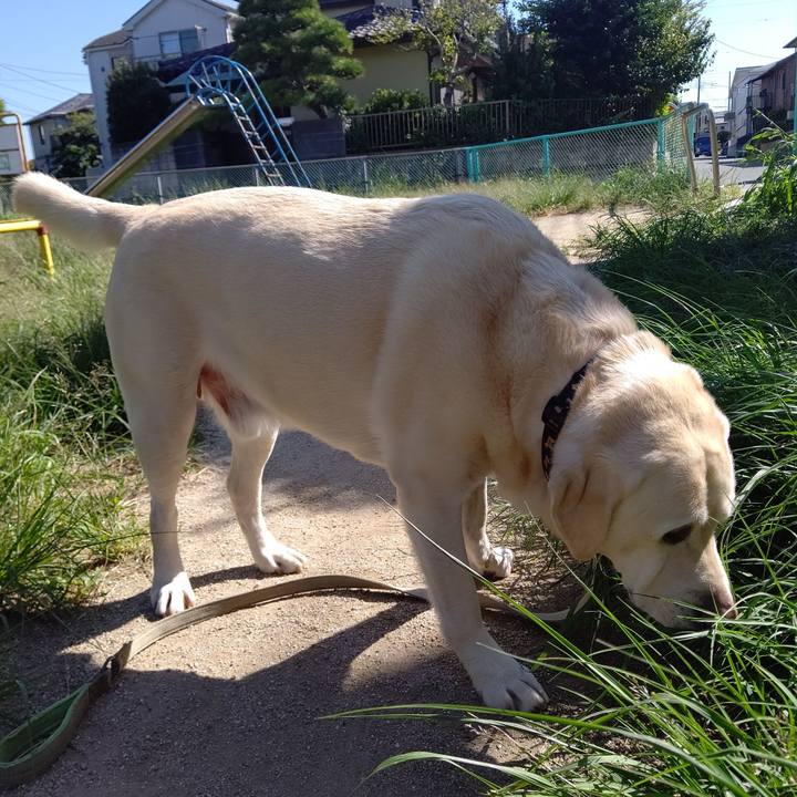 Ffac8644 67d1 44dc 8672 754625d921c3 1696646554032