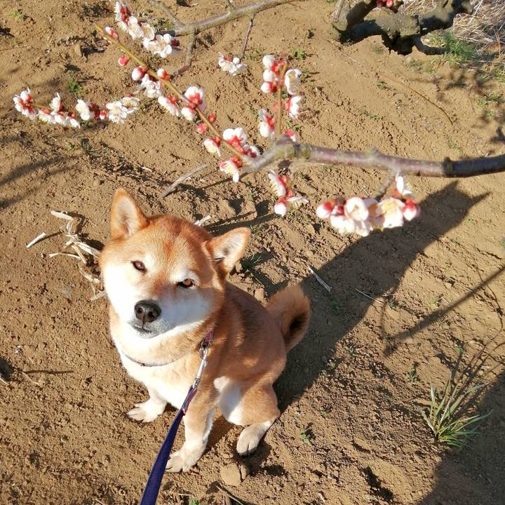 Ffac8f9a c3a8 4aa5 8a7c 74b8d9467b32 1677569454076