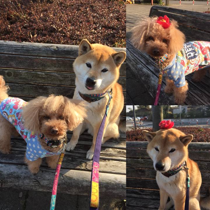 Ffac9ba4 79b2 457e aca8 2d1a7c706546 1521105280111