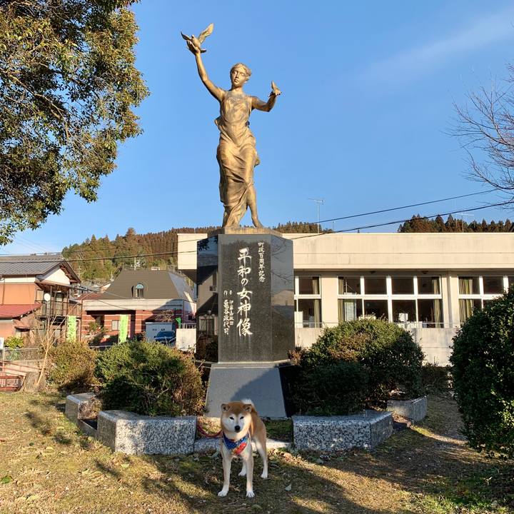 Ffaca042 4aa5 406e 89fe a9ce5286fcea 1582190901188