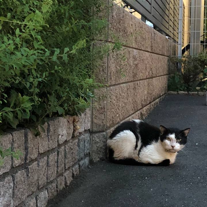 Ffaca92e 9cd0 4da8 865d 80ec9034c371 1536239961072