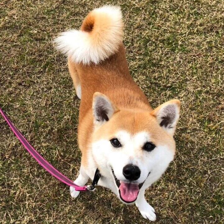 Ffacdefc bf14 405a 9540 59bd83c4b3f9 1553659862366