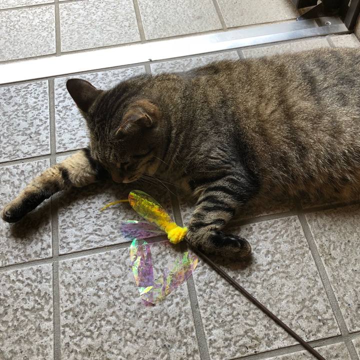 Ffad4c80 9afb 48e1 b66e c290fd0da524 1534215501970