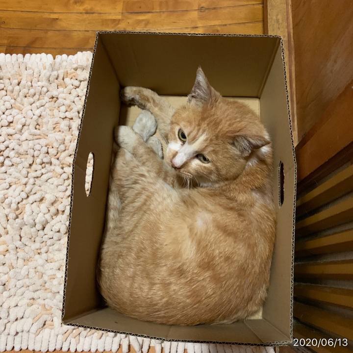 Ffad5141 fef3 4453 adc1 f61944d62a16 1592008085105