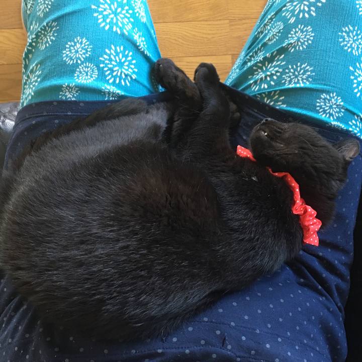 Ffadc02f 2978 4865 af4a 32e666aa30ae 1536384504258