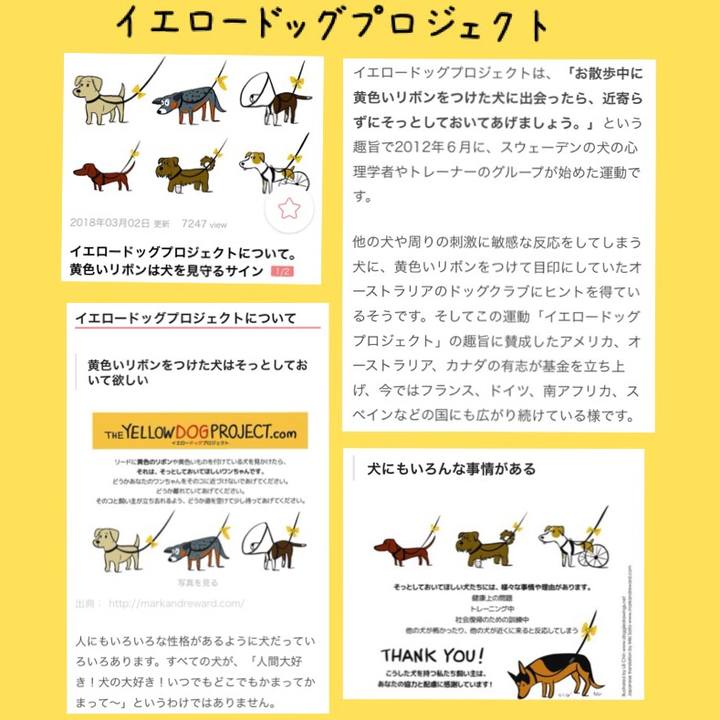 Ffade318 a9e2 4e23 8bdf 34651982edd5 1524140665513