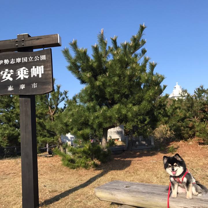 Ffae160c 912f 4226 9d9c 96cd9db9f6ff 1521804115131