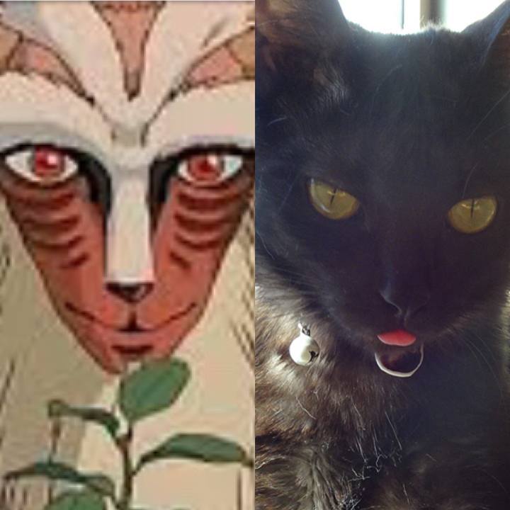 Ffae89a1 f9b9 4d8d 8fad adf9004d0044 1529153401570