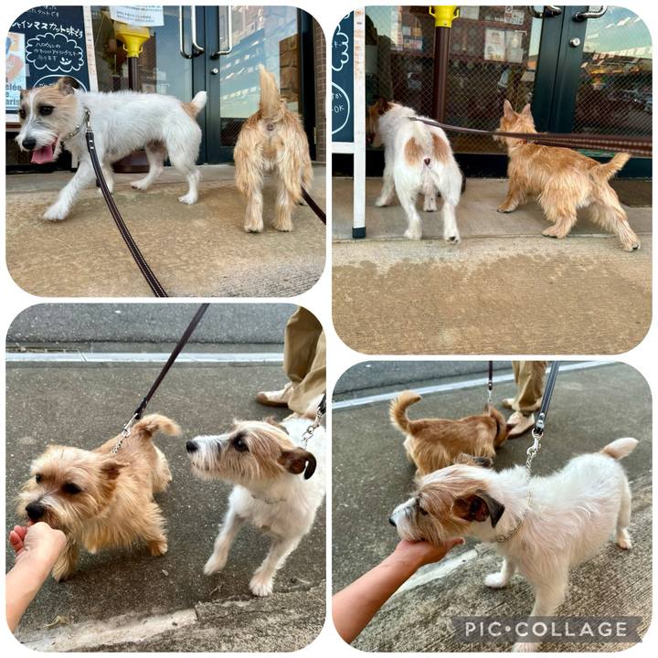 Ffaeb872 f614 4b26 8d7a 0b75fc6ca16f 1728828336335