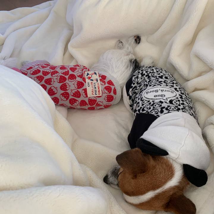 Ffaebd9c 7d43 4044 9339 fe79b684ab70 1581232447520