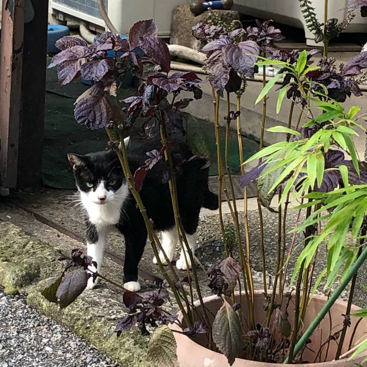 Ffaf09bb 15fe 4578 9590 375f054f64c0 1603574934279