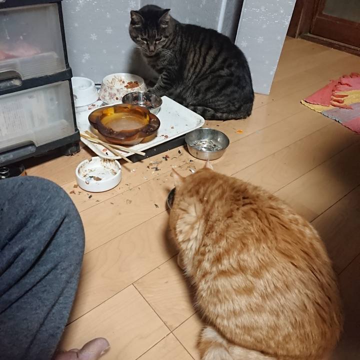 Ffaf0faf 18cd 4cf5 9d3e c2bd4f68bd74 1639342459195