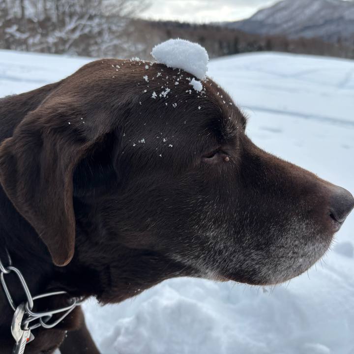 Ffaf2d44 4e5b 4580 b5e3 bb78104a0f36 1769943502115