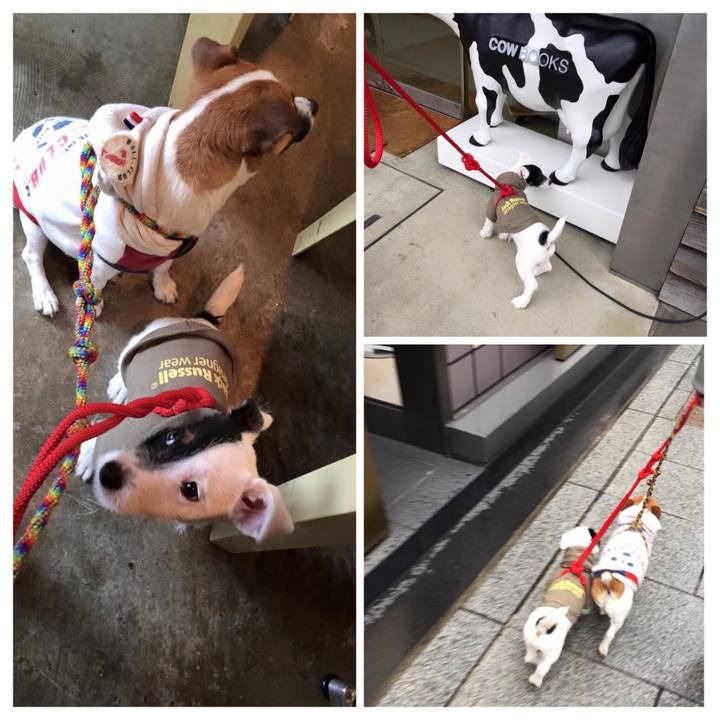 Ffaf3be3 25ca 44b5 8101 8a91cdccd36f 1520377333083