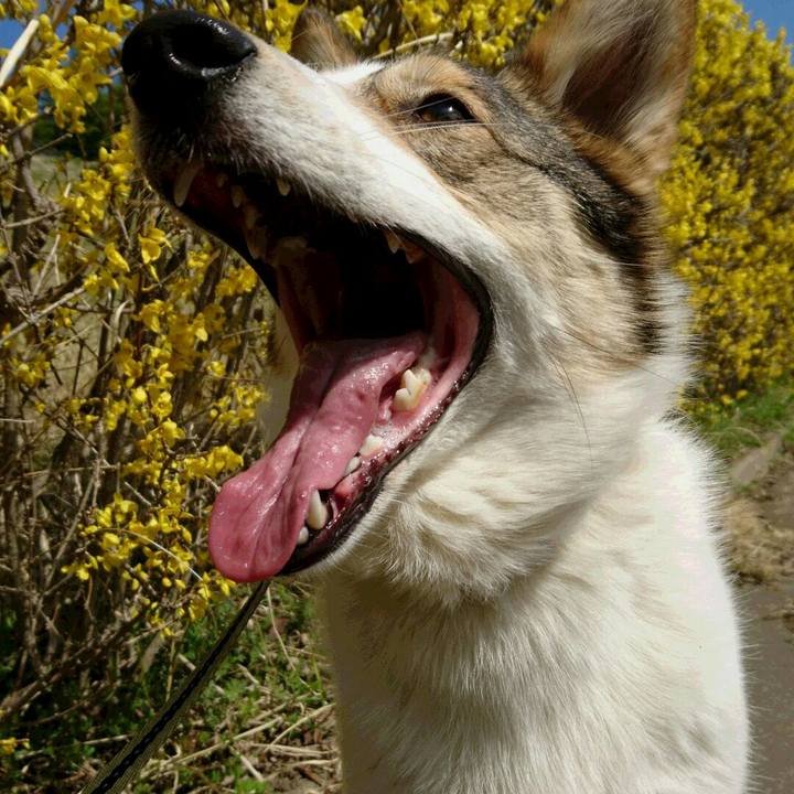 Ffaf5874 20d6 4037 a34c 588a31510a11 1522650843076