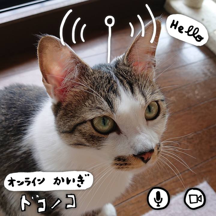 Ffaf6213 e990 4cb2 8ea6 3a482fb91407 1590743606347