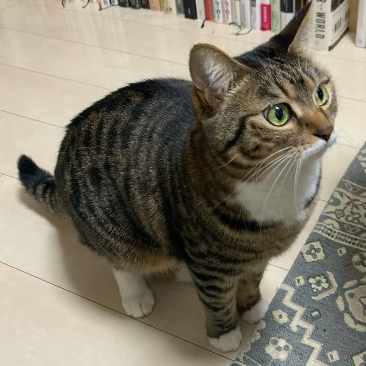 Ffaf7386 185c 4937 b6b7 71ae49e2cf64 1614783437921