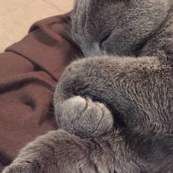 Ffaf7dd2 ce12 4f59 aeda 86b06ab0c675 1521109185425