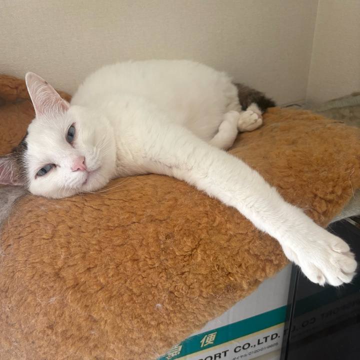 Ffaf8514 3d2e 4a2b a23c 8c0092abe699 1774827606648