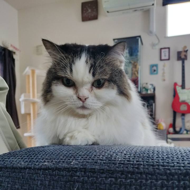 Ffaf8f56 3970 4cee 899e 19b6c0fc5538 1768951719910