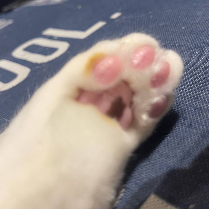 Ffafd318 1102 42f2 a54b 5021855f779f 1722346329752