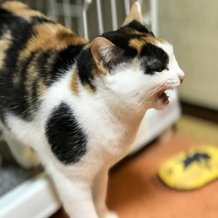 Ffafe0c9 386a 4b03 a6a0 29f85271bb64 1516198340940