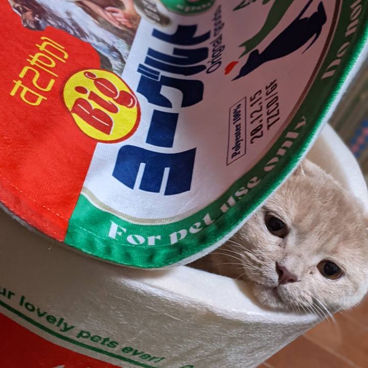 Ffafee14 a0cf 44ce ad47 edef260fabb4 1607245434837