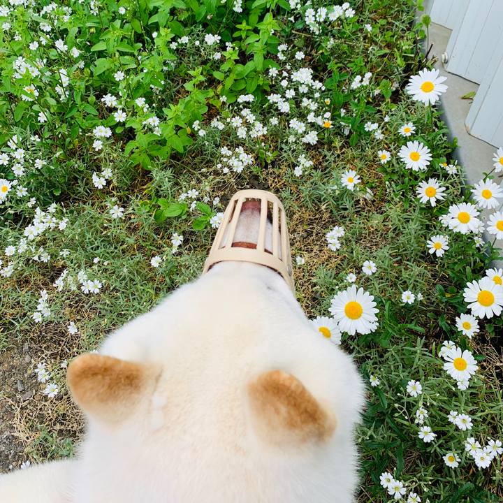 Ffaff181 1957 4984 a4d9 38680e9287d7 1592773365760