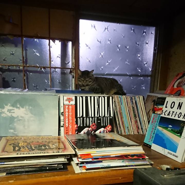 Ffb00917 aa86 471a bd24 35257740caf4 1660816473073