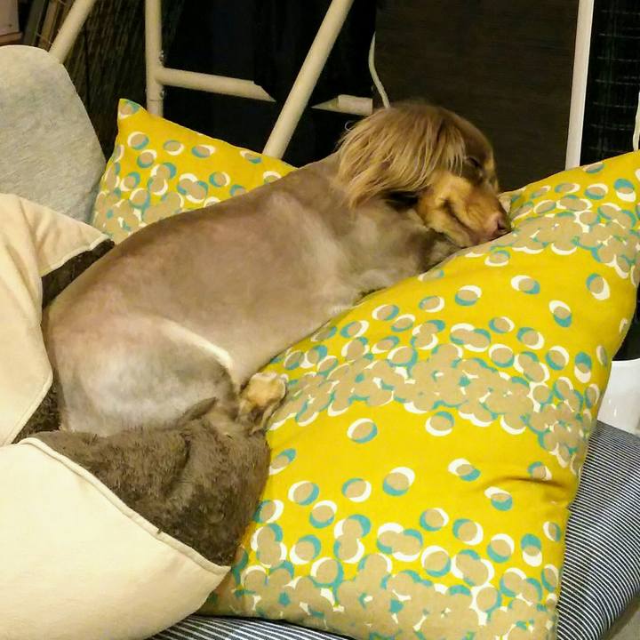 Ffb00d9e f264 4b58 b576 753fd55f1c8e 1530703865316